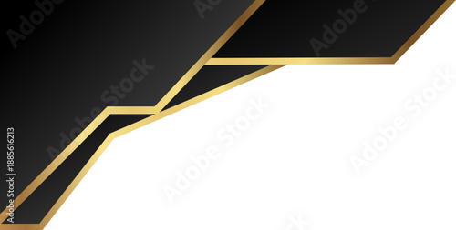 Minimal black and gold curve texture background