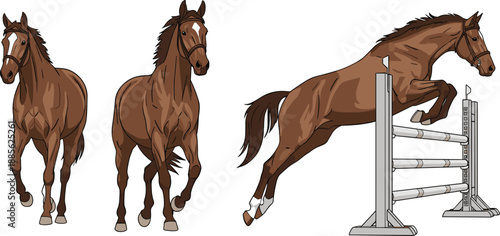 Brown horse illustration set showing standing and jumping poses, equestrian sport, animal strength and movement isolated on white background