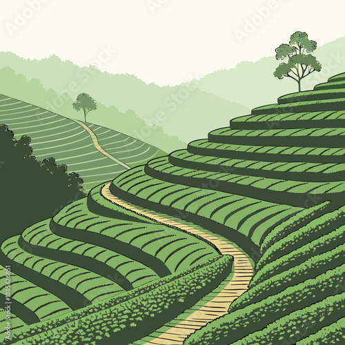 Lush terraced tea garden landscape created with stepped vector layers, showcasing vibrant green hills.