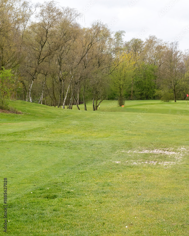 Obraz premium Golf course view with trees and grass on a cloudy day in the early afternoon during spring season