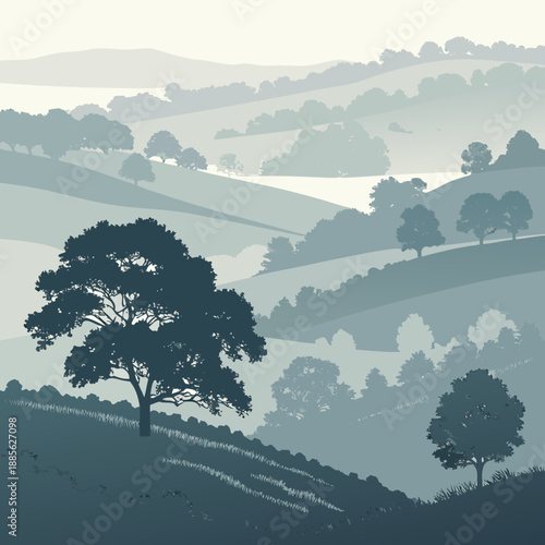 Atmospheric valley fog landscape rendered with delicate, layered translucent vector forms for a calm and ethereal feel.