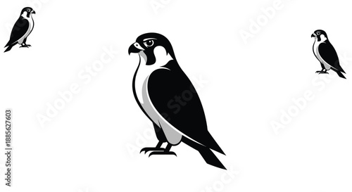 Vector graphics image showing a hawk on white
