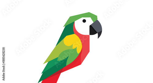 Geometric macaw art