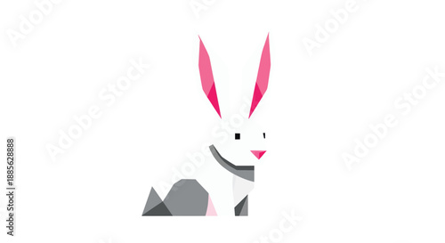 Geometric rabbit