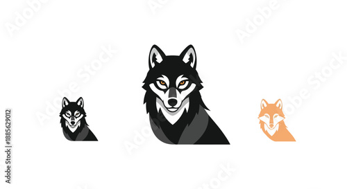 A trio of wolves, two in shades of grey and one in a soft orange, all headshots