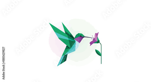Polygonal hummingbird drinks nectar