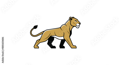 Walking lioness
