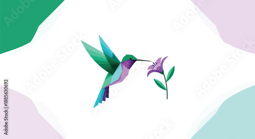 Geometric hummingbird next to a purple flower