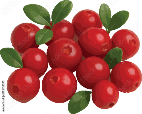 Pile of Red Lingonberries with Green Leaves on White Background