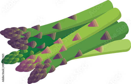 Bundle of Fresh Asparagus Spears, Green Vegetable, Healthy Food, Vector Illustration