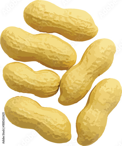 Scattered Peanuts in Shells on White Background food