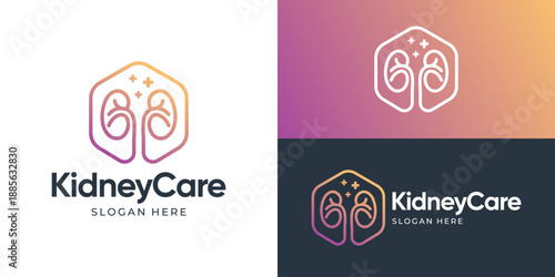 Creative modern kidney care logo template. Simple kidney with plus symbol for medicals logo design vector illustration.