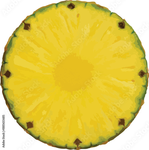 Top View of a Fresh Pineapple Slice with Brown Seeds Keywords: pineapple, slice, fruit, tropical