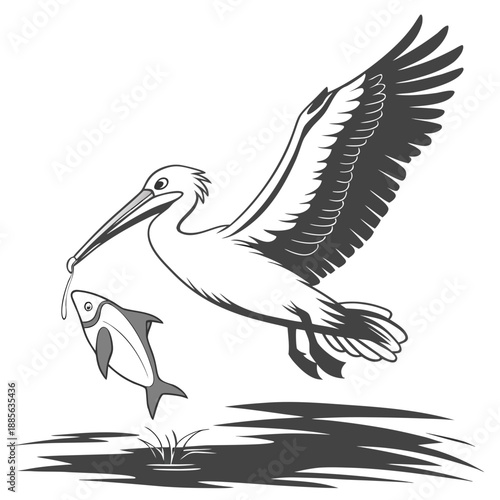 Pelican flying with fish in beak over water bird
