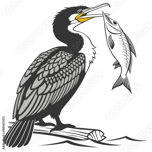 Black and white cormorant holding fish in beak on wooden log