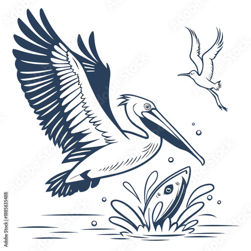 Pelican catching fish with seagull flying above water splash