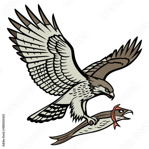 Brown and white hawk flying with caught fish prey bird