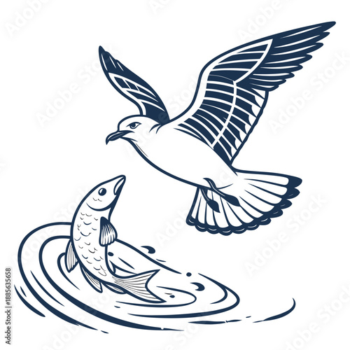 Seagull catching fish in mid air bird flying