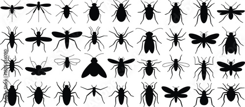 Insect silhouette collection featuring flies, beetles, mosquitoes, bugs shapes, black vector icons set isolated on white background
