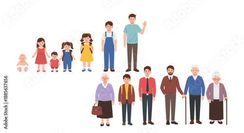 Human Life Cycle: Stages of Growth and Development