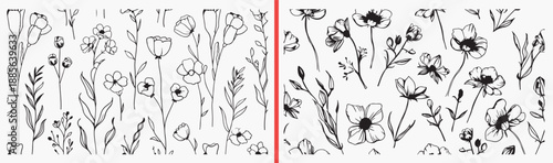 botanical grass illustrations, hand drawn plant line art, black and white foliage art, wild grass sketches, nature botanical elements, floral grass collection, plant icon set

