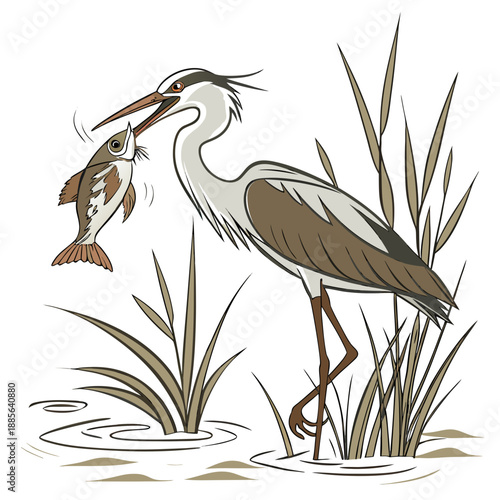 Heron catches fish in water with reeds bird