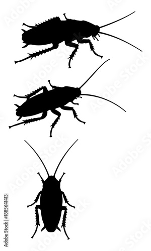 Cockroach vector, cockroach creative art, cockroach silhouettes, cockroach vector design isolated