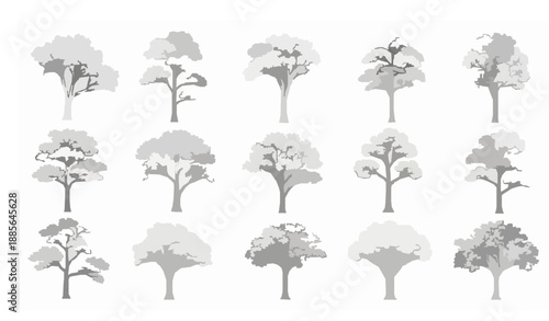 Botanical tree elevation vector set for landscape and planning design