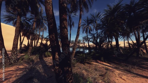 oasis lagoon by city skyline dusk, vibrant reflective water with shimmering lights, palm silhouettes framing waterfront, coastal horizon and sandy foreground,