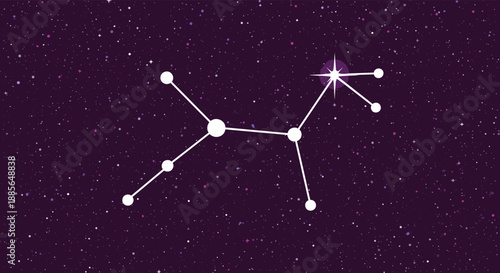 A representation of the constellation Canis Major in the starry night sky.