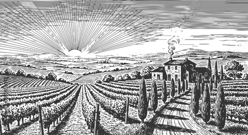 Sunrise over vineyard landscape with country house and cypress trees in rural scenery