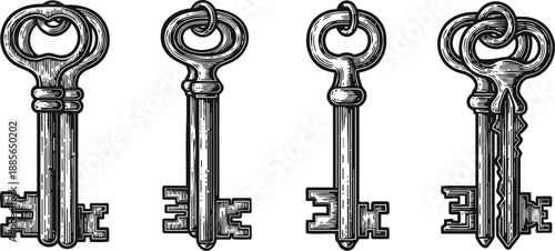 vintage metal keys set in black and white old classic key designs with intricate details engraving