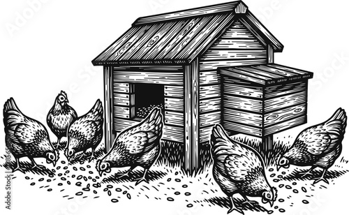 Free range chickens pecking feed near wooden chicken coop and nesting box