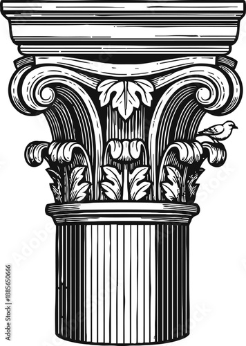 Ornate corinthian column capital with acanthus leaves and a perched bird, classic architectural detail