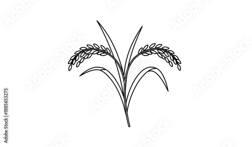 Minimal rice plant outline icon in black and white vector style