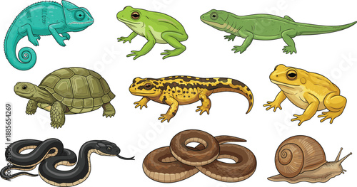 Reptile and amphibian animal collection vector illustration set featuring chameleon, frog, lizard, turtle, salamander, snake, and snail in cartoon style