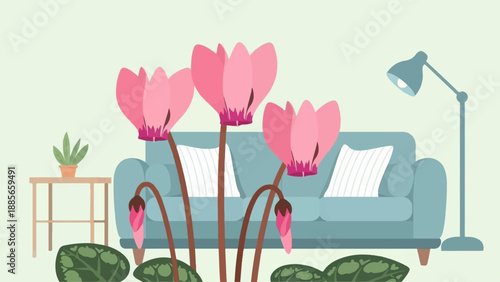 Cozy interior scene with pink cyclamen flowers and a blue sofa