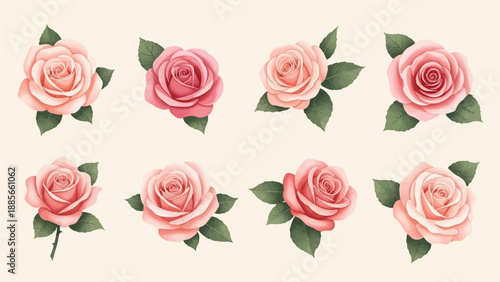 Eight detailed, soft pink and deep pink roses with green leaves