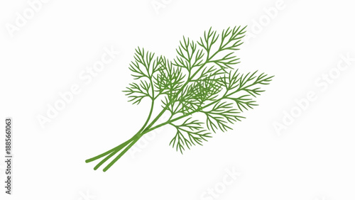 Delicate green dill sprigs, finely branched, against a pure white background