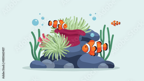 Cute clownfish swim among anemones and rocks underwater