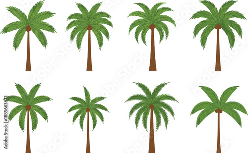 Palm tree collection vector illustration set featuring tropical coconut palms in different shapes for summer, beach, island, and nature designs