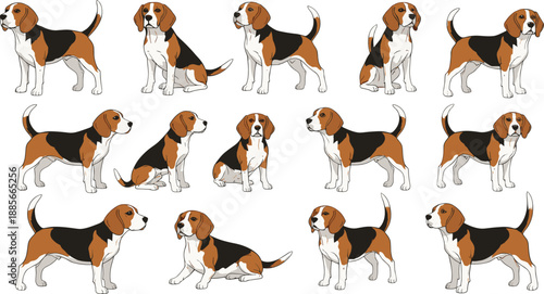 Beagle dog character collection vector illustration set featuring cute cartoon beagles in different poses for pet, animal, and mascot designs