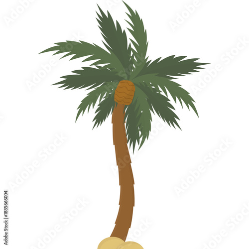 Palm Tree Vector