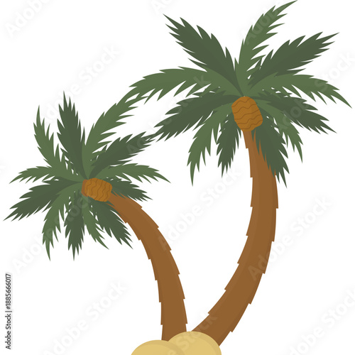 Palm Tree Vector