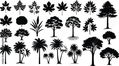 Large set of black tree and leaf silhouettes, isolated vector illustrations of palms, deciduous trees, and 