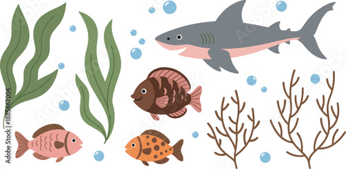 Cute underwater sea animals set with shark, tropical fish, coral, and seaweed in colorful cartoon style vector illustration
