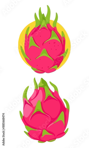 Dragon fruit slice silhouette vector, Set of sweet fruit collection vector art, dragon fruit isolated on white background