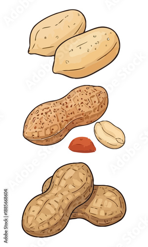 Peanut silhouette vector, Set of sweet fruit collection vector art, pea nut isolated on white background