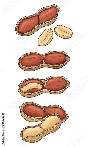 Peanut silhouette vector, Set of sweet fruit collection vector art, pea nut isolated on white background