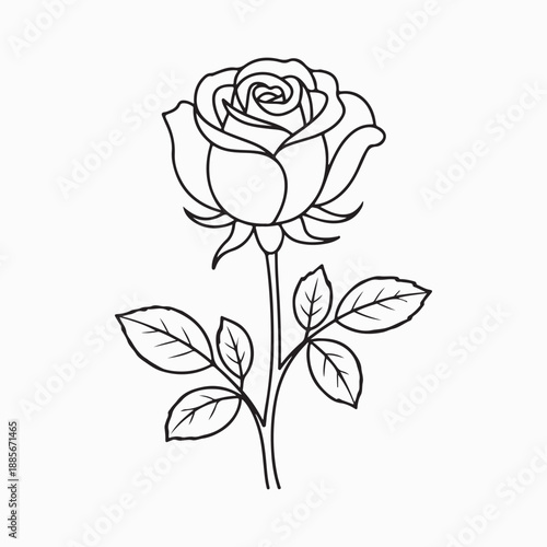 Single Rose Outline Vector Illustration Romantic Flower Graphic Design